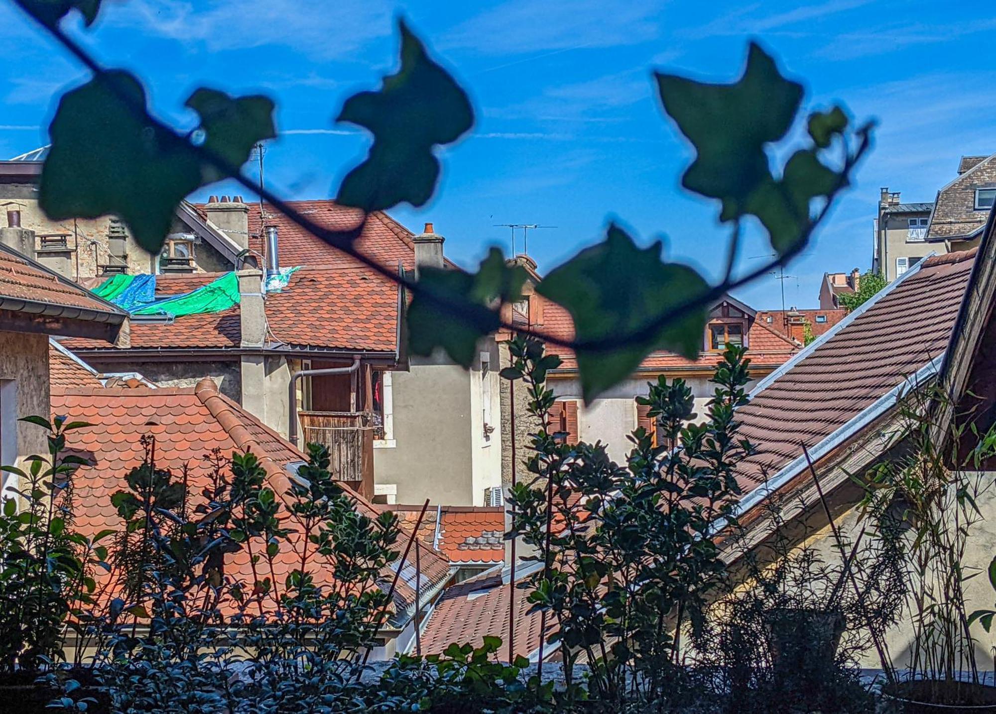 Nid Douillet Bed and Breakfast Annecy Exteriör bild