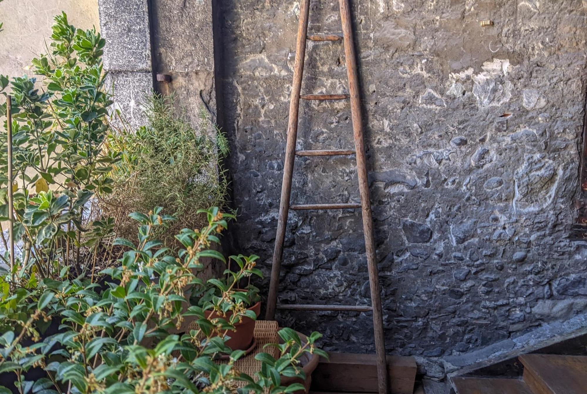 Nid Douillet Bed and Breakfast Annecy Exteriör bild